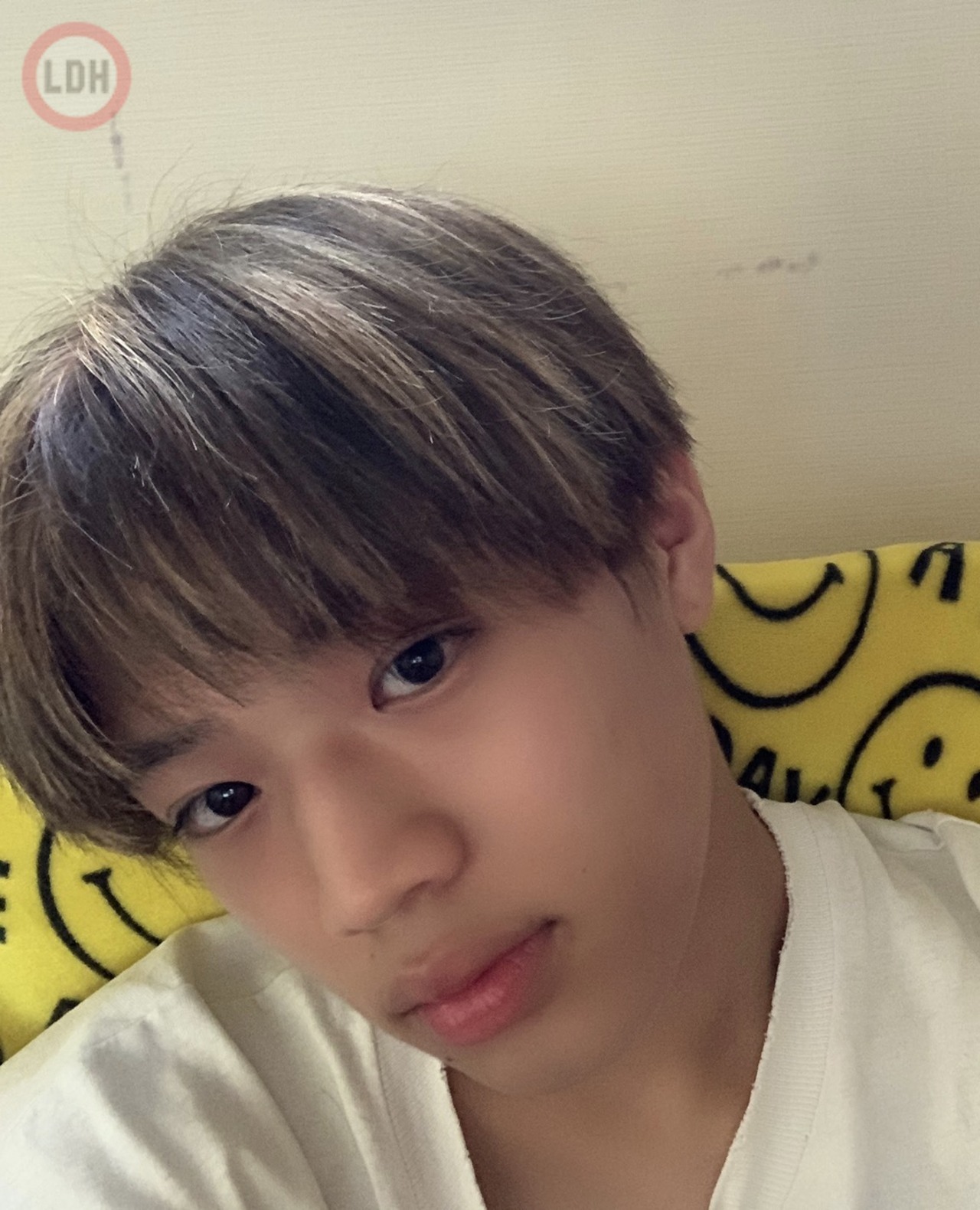 愛犬達。from 半田龍臣 | PSYCHIC FEVER MEMBER BLOG | LDH mobile